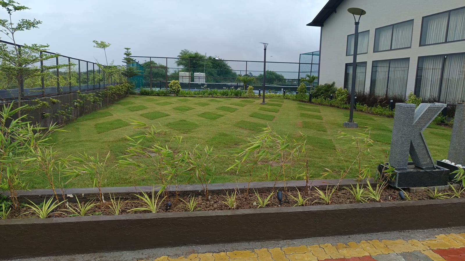 Plant